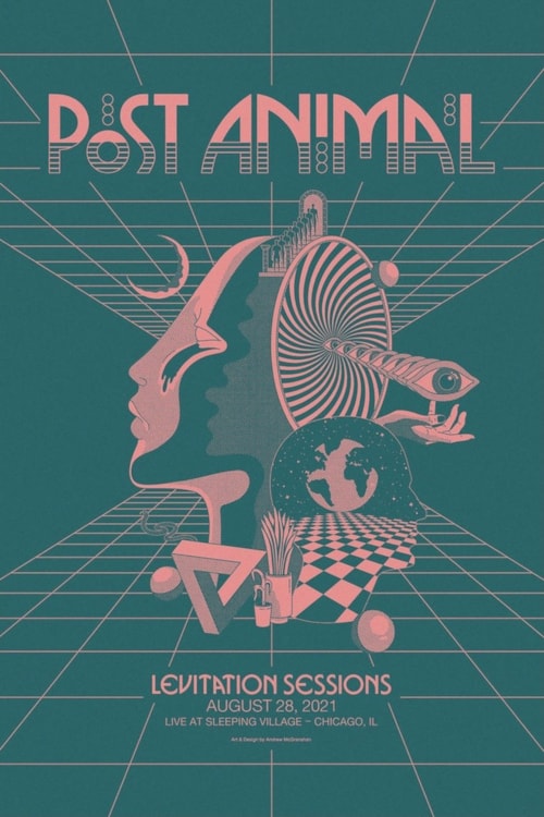 Post Animal - Levitation Sessions poster
