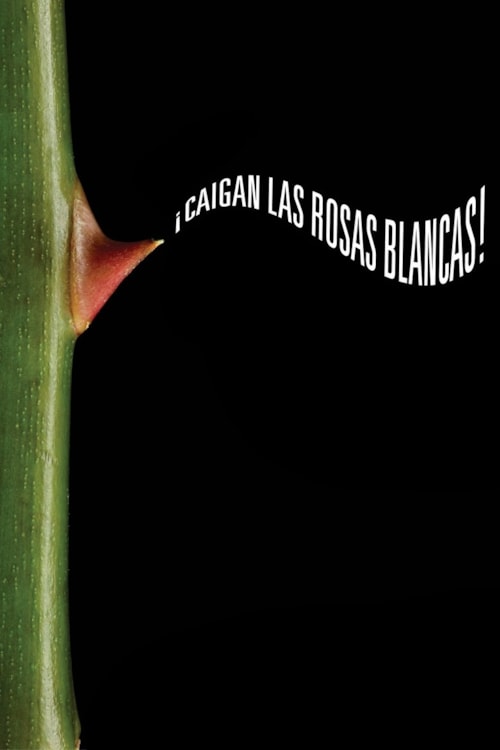 White Roses, Fall! poster